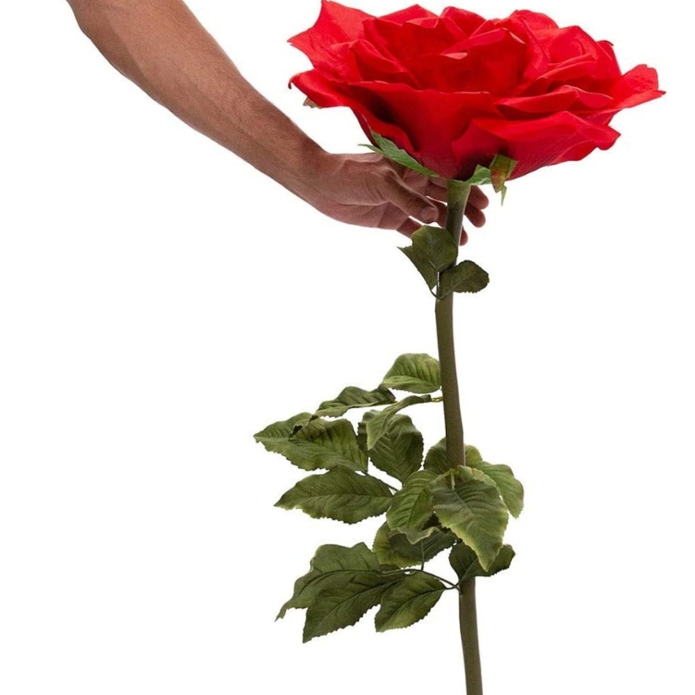 Large Rose